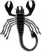 scorpion202063024